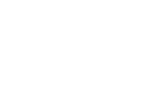 Equi Team International logo